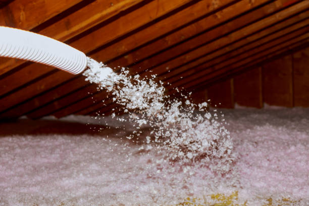 Best Spray Foam Insulation  in Estancia, NM